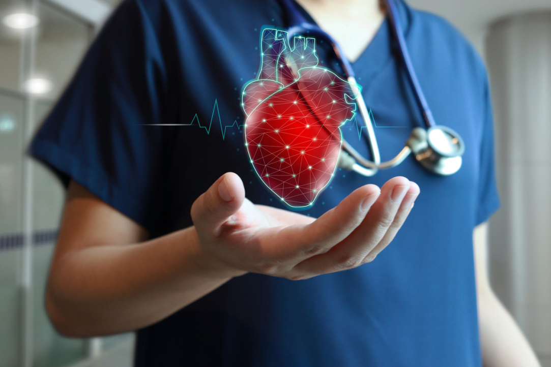&apos;The Branch of Medicine That Our Developments Primarily Target Is Cardiology&apos;